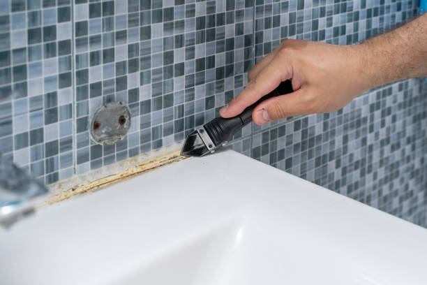 South Sumter, SC Mold Removal Company